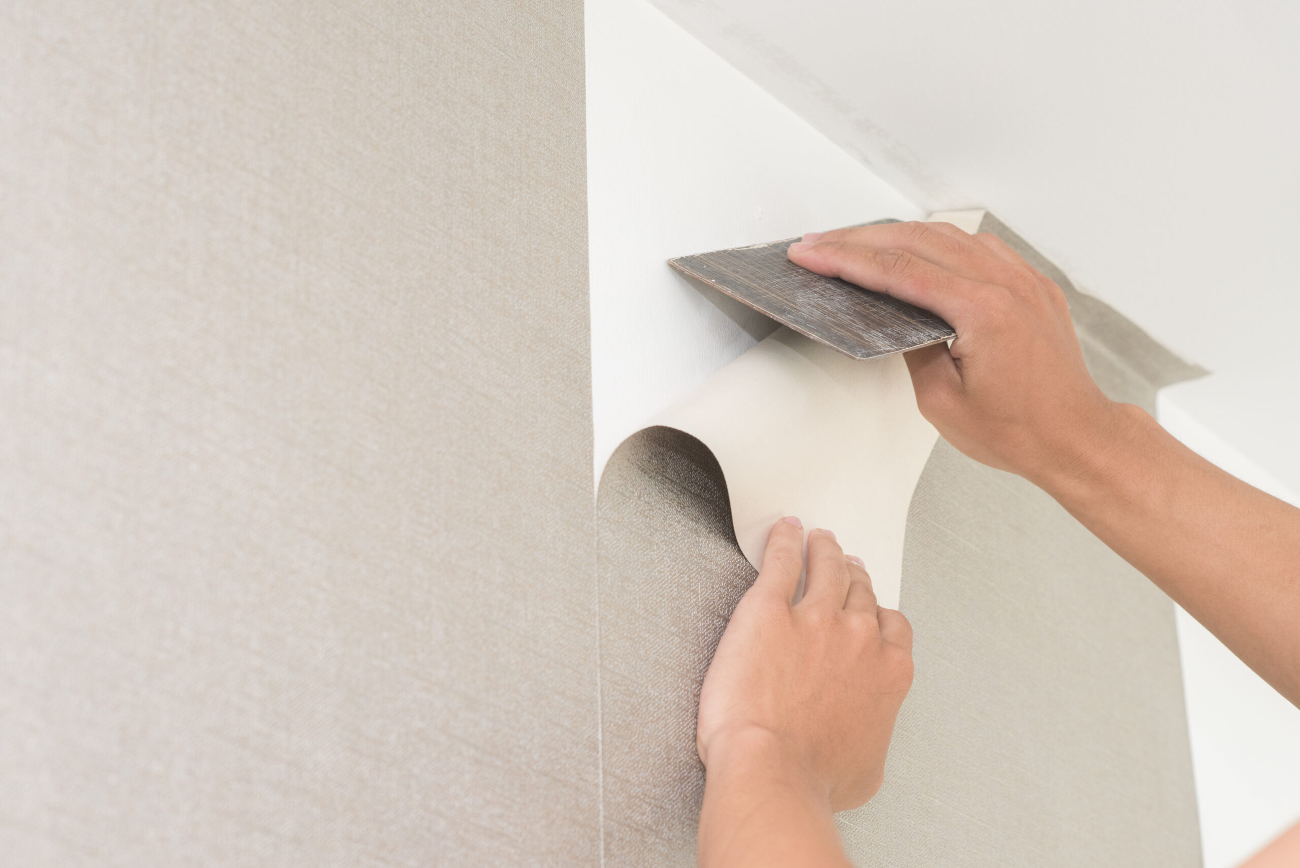 Handyman,Putting,Up,Wallpaper,On,The,Wall